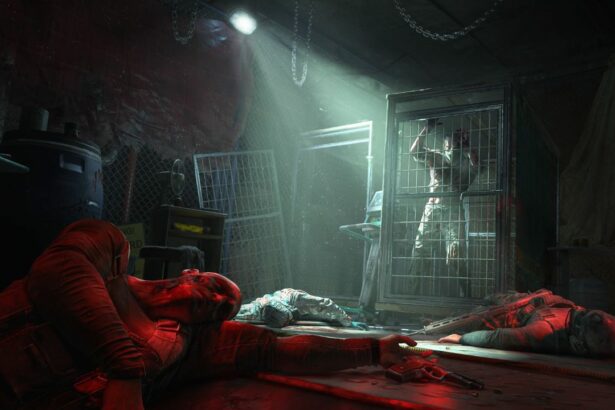 Dying Light: The Beast - ilustračné foto