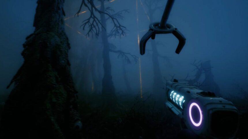 Forest 3 - ilustračné foto