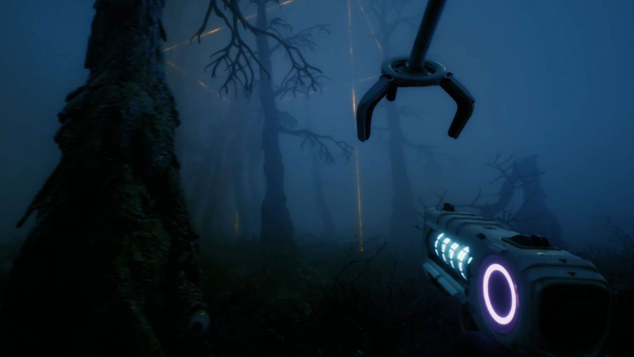 Forest 3 - ilustračné foto