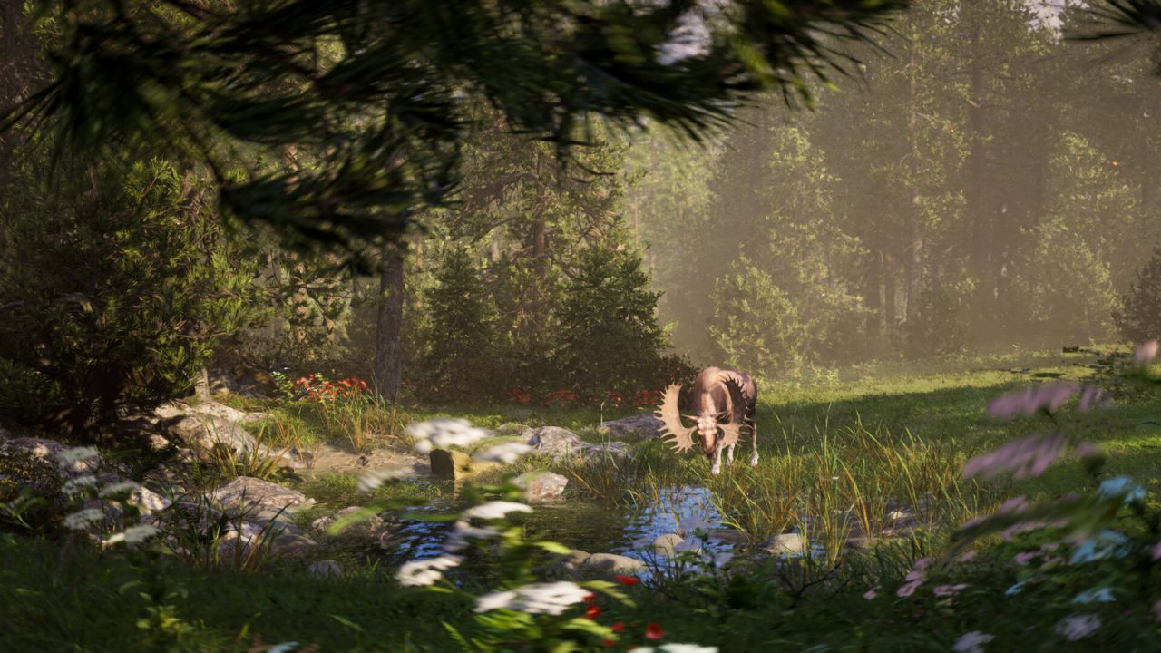 Next Hunting Adventure - ilustračné foto