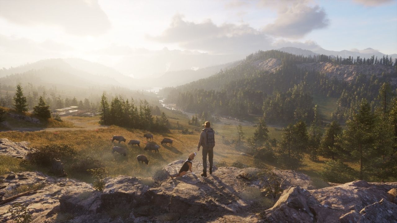 Next Hunting Adventure - ilustračné foto